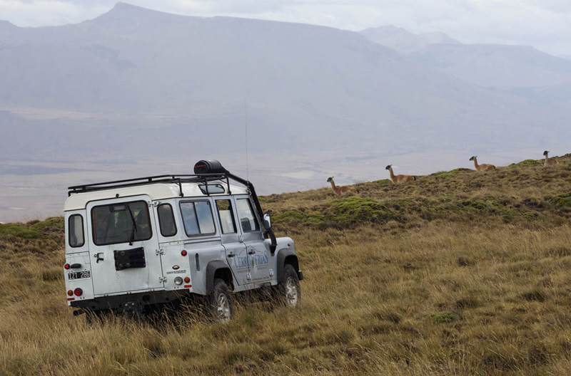 During the ride, they surprise us wild inhabitants of Cerro Frias.