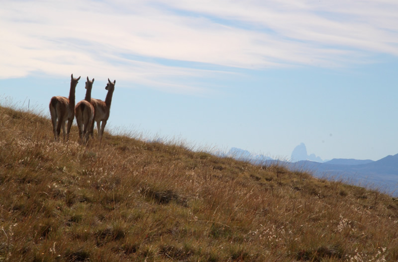 The name of Cerro Chalten (Fitz Roy) tehuelche language, means 'smoking mountain' due to the clouds that crown the summit almost constantly.