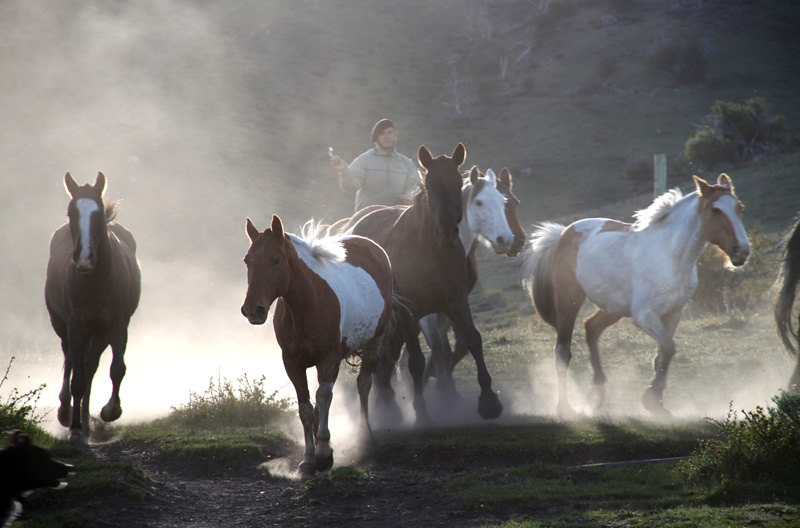 All visitors can appreciate the contact with wild animals and subsistence.