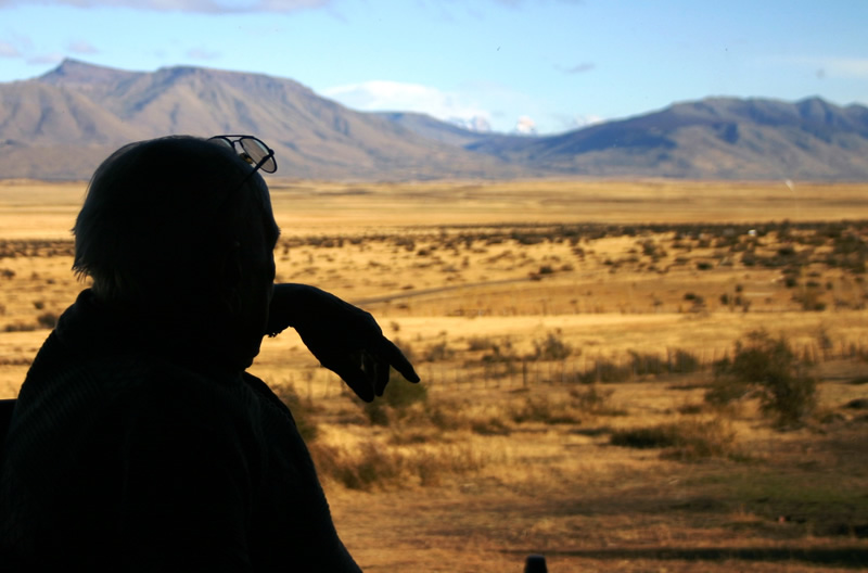 From the Farm Restaurant can enjoy the view of the Paine Massif accompanied by our delicious Patagonian.
